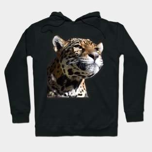 Jaguar Hoodie